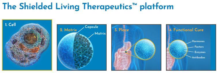 Shielded Living Therapeutics平臺(tái)（圖片來(lái)源：Sigilon Therapeutics官方網(wǎng)站）